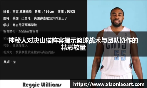 神秘人对决山猫阵容揭示篮球战术与团队协作的精彩较量